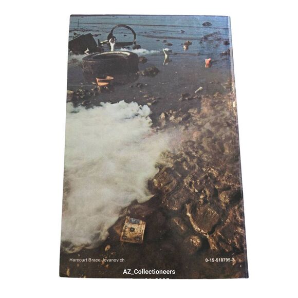 Economic growth and environmental decay the solution becomes the problem by Paul - Picture 4 of 7